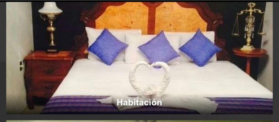 Hotel Mi Viejo Refugio 틀라케파케 외부 사진